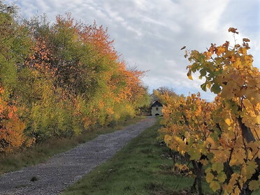 27.10.2020 - Trude Horn - Herbst am Kirrberg