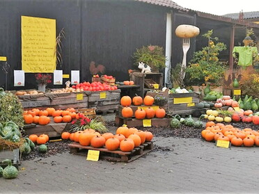 27.10.2020 - Trude Horn - Kürbisernte