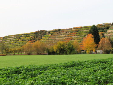 25.10.2020 - Roland Horn - Blick auf Seugen