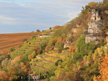 25.10.2020 - Frank-M. Zahn - Herbstnachmittag am Krappenfelsen