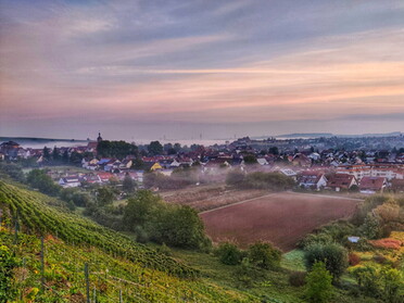 01.10.2020 - Ulrich Seidel - Morgenstimmung in Lauffen a.N.