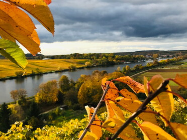 24.10.2020 - Gudrun Cremer - Herbstfarben in Lauffen a.N.