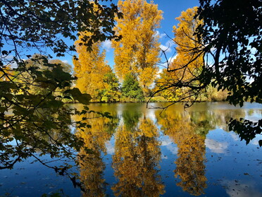 24.10.2020 - Gudrun Cremer - Herbstfarben in Lauffen a.N.