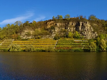 01.11.2020 - Ralf Wannenwetsch - Neckar Blick auf den Krappenfelsen