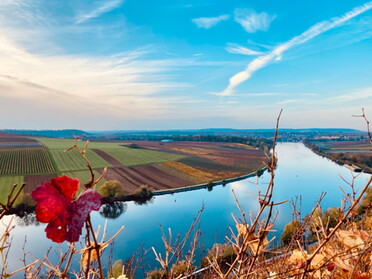 08.11.2020 - Jan Reichle - Aussicht am Krappenfelsen