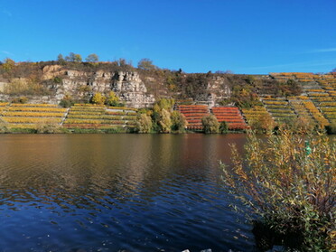 31.10.2020 - Dorothea Auberger - Krabbenfelsen am Neckar