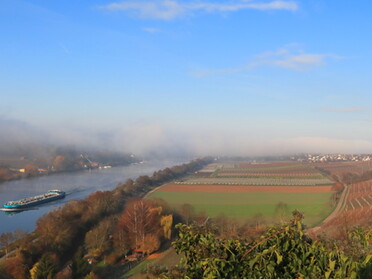 25.11.2020 - Frank-M. Zahn - Herbstnebel im Neckartal