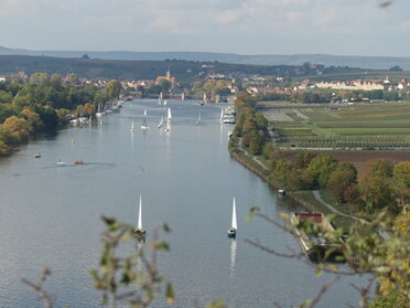18.10.2020 - Hans-Peter Schwarz - Segelboote auf dem Neckar