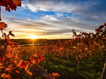 27.10.2020 - Werner Ohsam - Herbststimmung in Lauffen a.N.