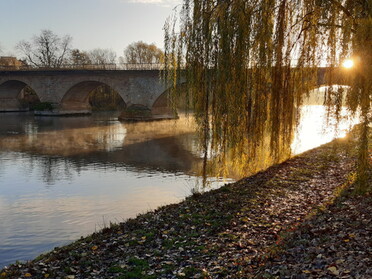 20.11.2020 - Armin Jacob - Blick auf die alte Neckarbrücke