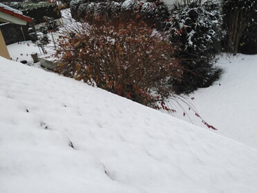 01.12.2020 - Andrea Piest - Schnee im Dezember
