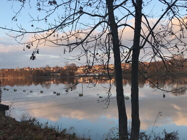 26.12.2020 - Gudrun Cremer - Winter am Lauffener Bootsanleger