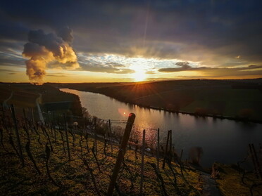 15.01.2021 - Werner Ohsam - Sonnenuntergang am Neckar