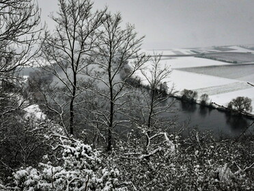 17.01.2021 - Werner Ohsam - Schnee am Neckar