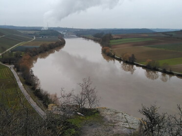 31.01.2021 - Andrea Piest - Blick vom Krappenfelsen bei grauen Wolken