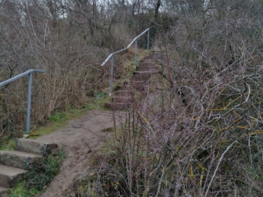 31.01.2021 - Andrea Piest - Treppe am Krappenfelsen 