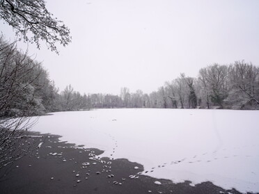 17.01.2021 - Ulrich Seidel - Winterzauber am Seeloch