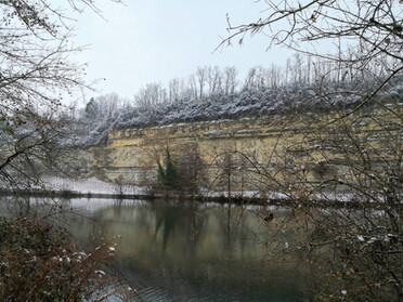 03.01.2021 - Roland Horn- Prallhang am Neckar