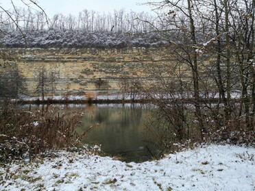 03.01.2021 - Roland Horn - Wasenblick auf den Prallhang