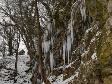 10.02.2021 - Martin Braunbeck - Eiszapfen im Kaywald