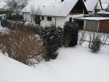 10.02.2021 - Andrea Piest - Schnee