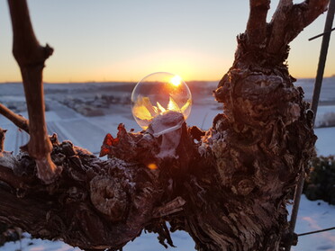 14.02.2021 - Ralf Scheibner - Sonnenaufgang an der Weinbergkante an der Katharinenstraße durch eine gefrorene Seifenblase