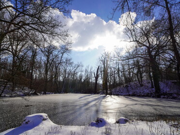 11.02.2021 - Ulrich Seidel - Winter am Seeloch