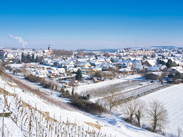 11.02.2021 - Ulrich Seidel - Wintermorgen in Lauffen