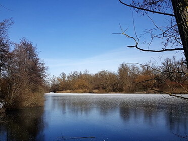 Februar 2021 - Roland Horn - Frost beim Seeloch