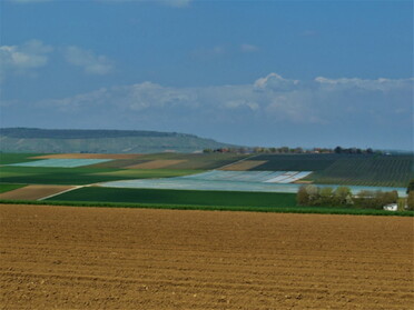 20.04.2021 - Urban Böhner-Stamm - Blick auf den Heuchelberg vom Großen Feld 