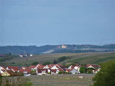 10.05.2021 - Urban Böhner-Stamm - Sicht auf Lauffen und den Michaelsberg vom Parkplatz an der B 27