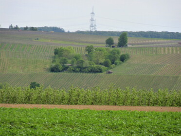 10.05.2021 - Urban Böhner-Stamm - Blick auf den Römerhof