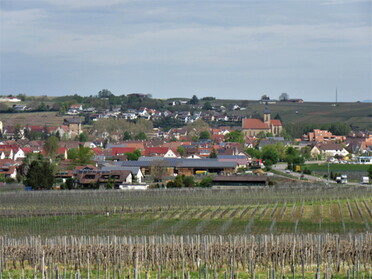 10.05.2021 - Urban Böhner-Stamm - Blick auf Lauffen vom Parkplatz B 27 