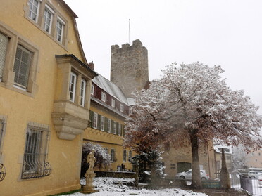 03.01.2021 - Hans-Peter Schwarz - Winterliches Lauffen