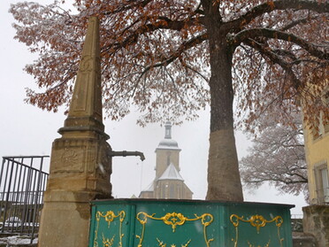 03.01.2021 - Hans-Peter Schwarz - Winterliches Lauffen