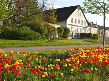 02.05.2021 - Hans-Peter Schwarz - Tulpenfeld 