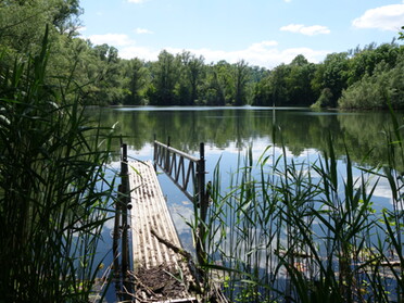 30.05.2021 - Birgit Nollenberger - Blauer Himmel über und im Fischersee