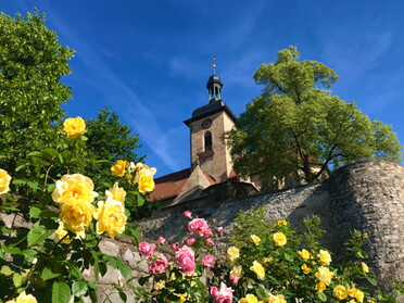 15.06.2021 - Gudrun Cremer - Rosen schmücken die Regiswindiskirche