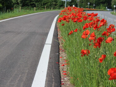 09.06.2021 - Stefan Hautzinger - Neuer Radweg Richtung Brackenheim