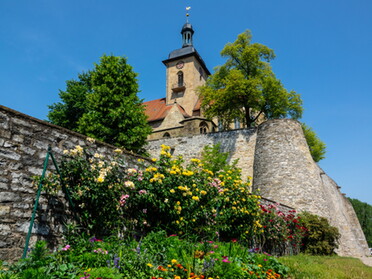 18.06.2021- Günter Gaida - Blumenschmuck unter der Regiswindiskirche