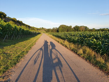 07.07.2021 - Hannah Lorenz - Neckartalradweg von Lauffen nach Heilbronn