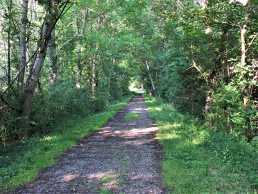 20.07.2021 - Urban Böhner-Stamm - Kaywald