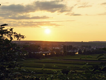 20.08.2021 - Roswitha Demmler - Sonnenuntergang vom Römischen Gutshof aus