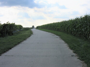 24.08.2021 - Urban Böhner-Stamm - Lauffen ist corn-town