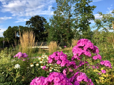 02.08.2021 - Gudrun Cremer - Abendlicht im Lamparter Park