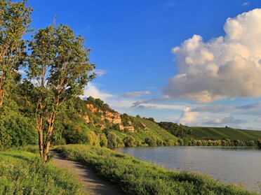 30.08.2021 - Frank-M. Zahn - Abendstimmung am Neckar