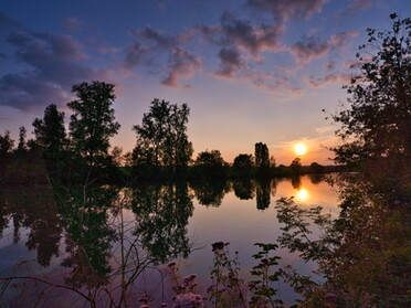 24.08.2021 - Ulrich Seidel - Sonnenuntergang am Neckar am Neckartalradweg nach Horkheim