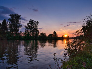 24.08.2021 - Ulrich Seidel - Sonnenuntergang am Neckar am Neckartalradweg nach Horkheim