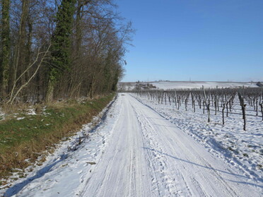 13.01.2021 - Dieter Herrmann - Schnee in Lauffen a.N.