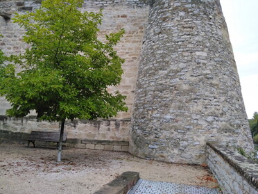 14.09.2021 - Andrea Piest - Steinmauer unterhalb der Regiswindiskirche